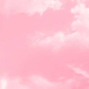 Meet your Posher, Bailey